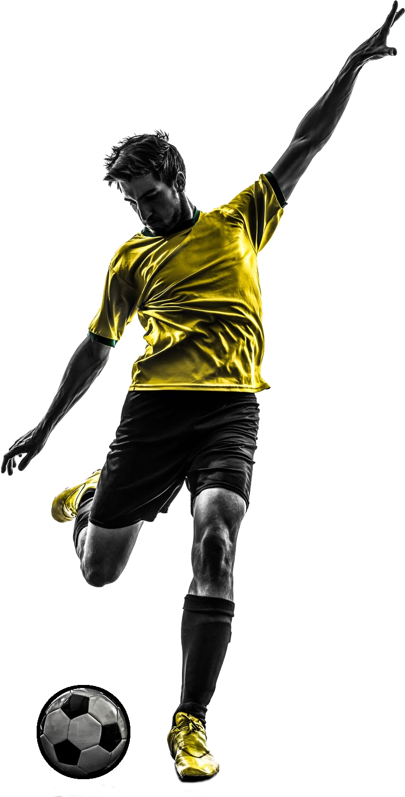 See Example - Marketing Plan For Physical Therapy Services (817x1608), Png Download