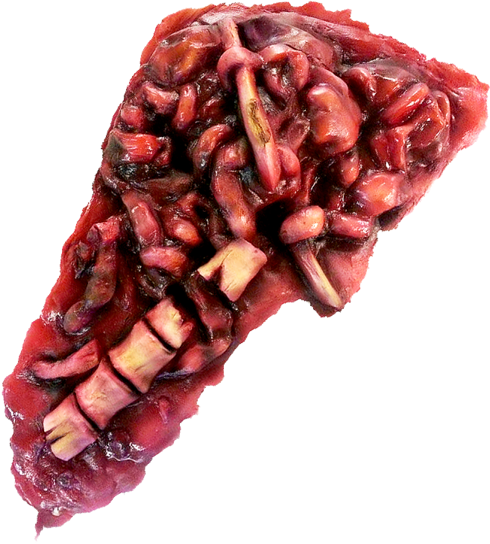 Sfx Pile Of Guts - Transparent Pile Of Guts (1200x1200), Png Download