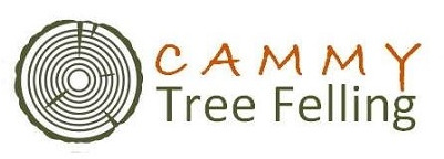 Amare Un Ricordo (434x434), Png Download