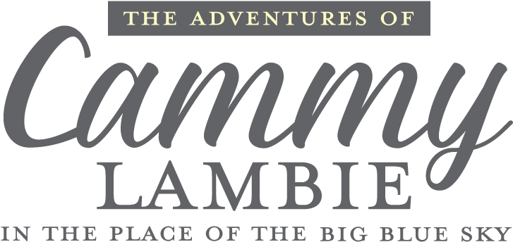 Your Child Will Join Cammy Lambie In One Full Day Of - The Adventures Of Cammy Lambie In The Place Of The (738x350), Png Download