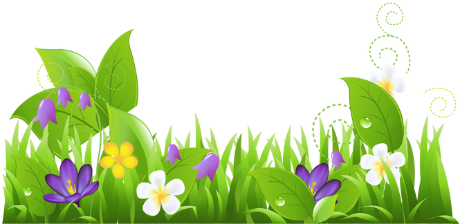 Spring Vector Background - Grass And Flowers Clipart (664x347), Png Download