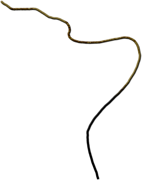 Download Free Twine Png - Twine Png (480x610), Png Download