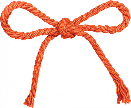 That Teenage Life - Rope Bow Png (456x379), Png Download