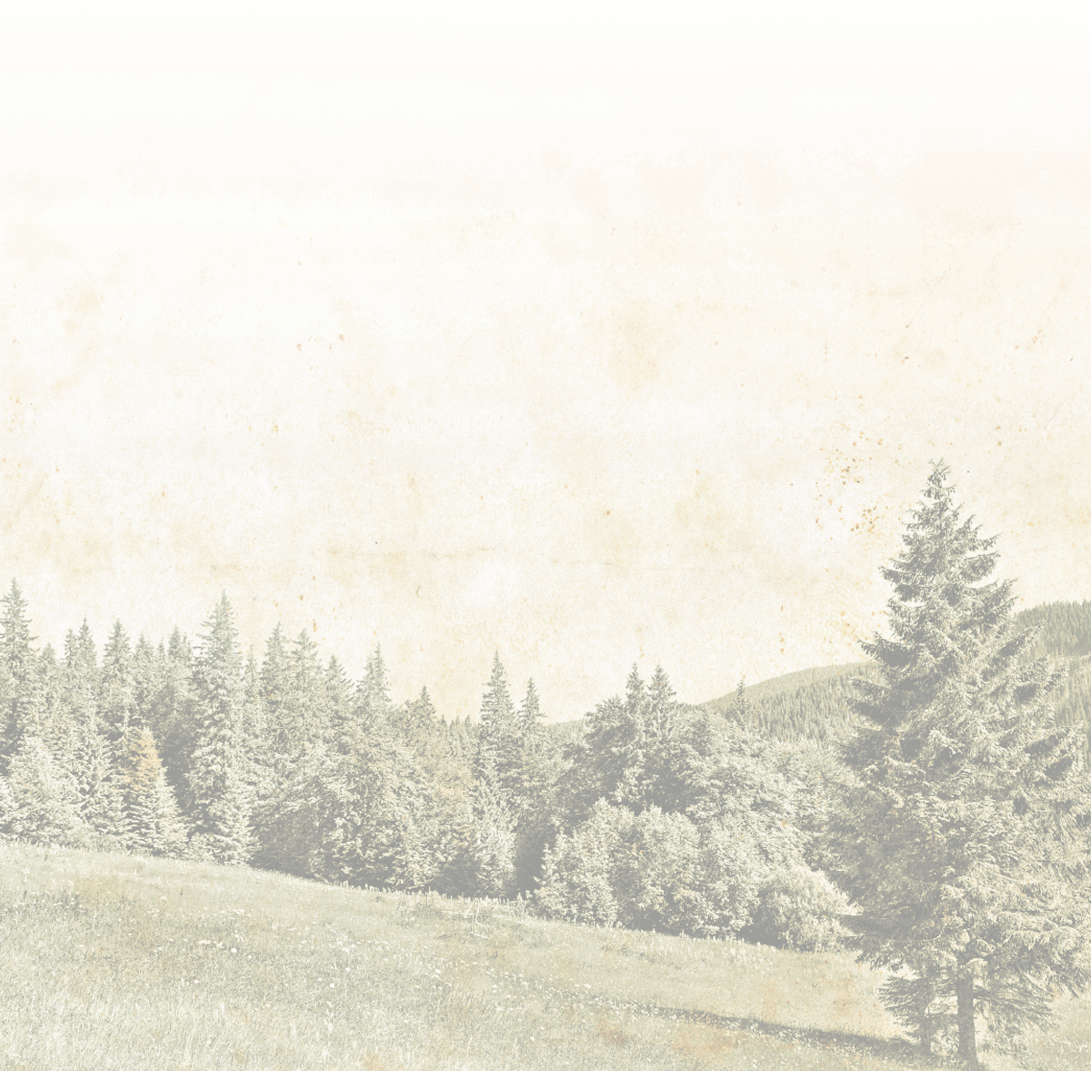 Forsthaus Falkenau Staffel 10 Dvd (1200x1177), Png Download