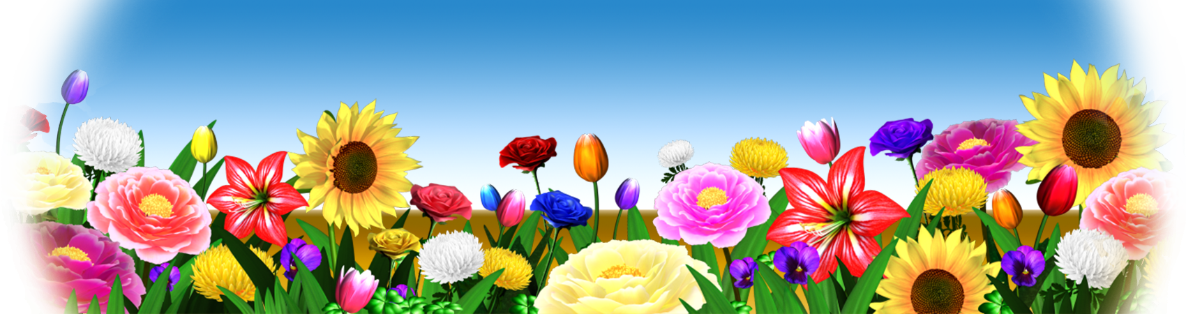 Usf Rose Background - Sunflower (1700x450), Png Download