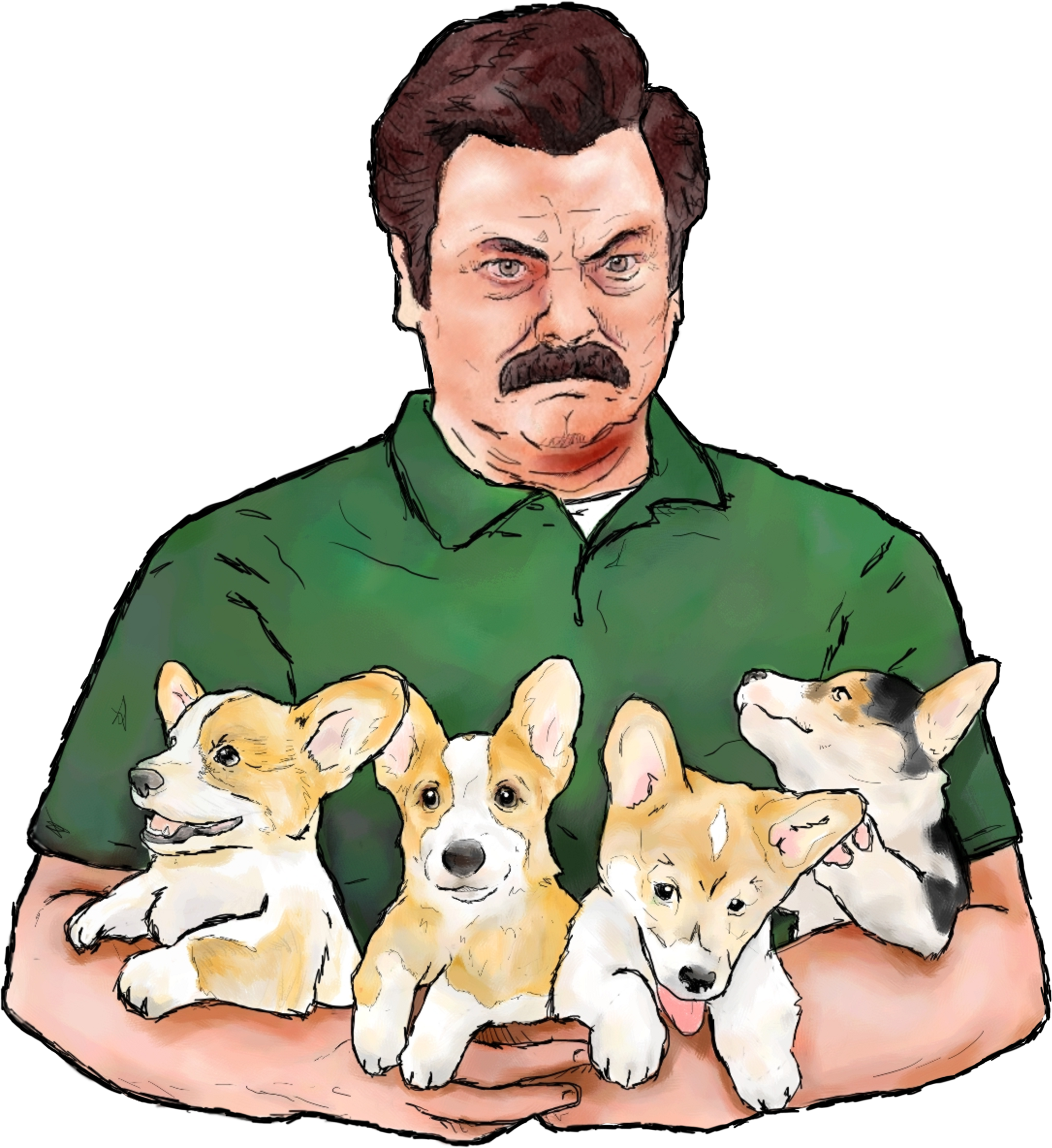 Ron Swanson & Corgi Puppies - Ron Swanson Corgi (2400x2540), Png Download