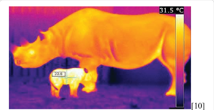 Rhino With Power - World Wide Web (744x381), Png Download