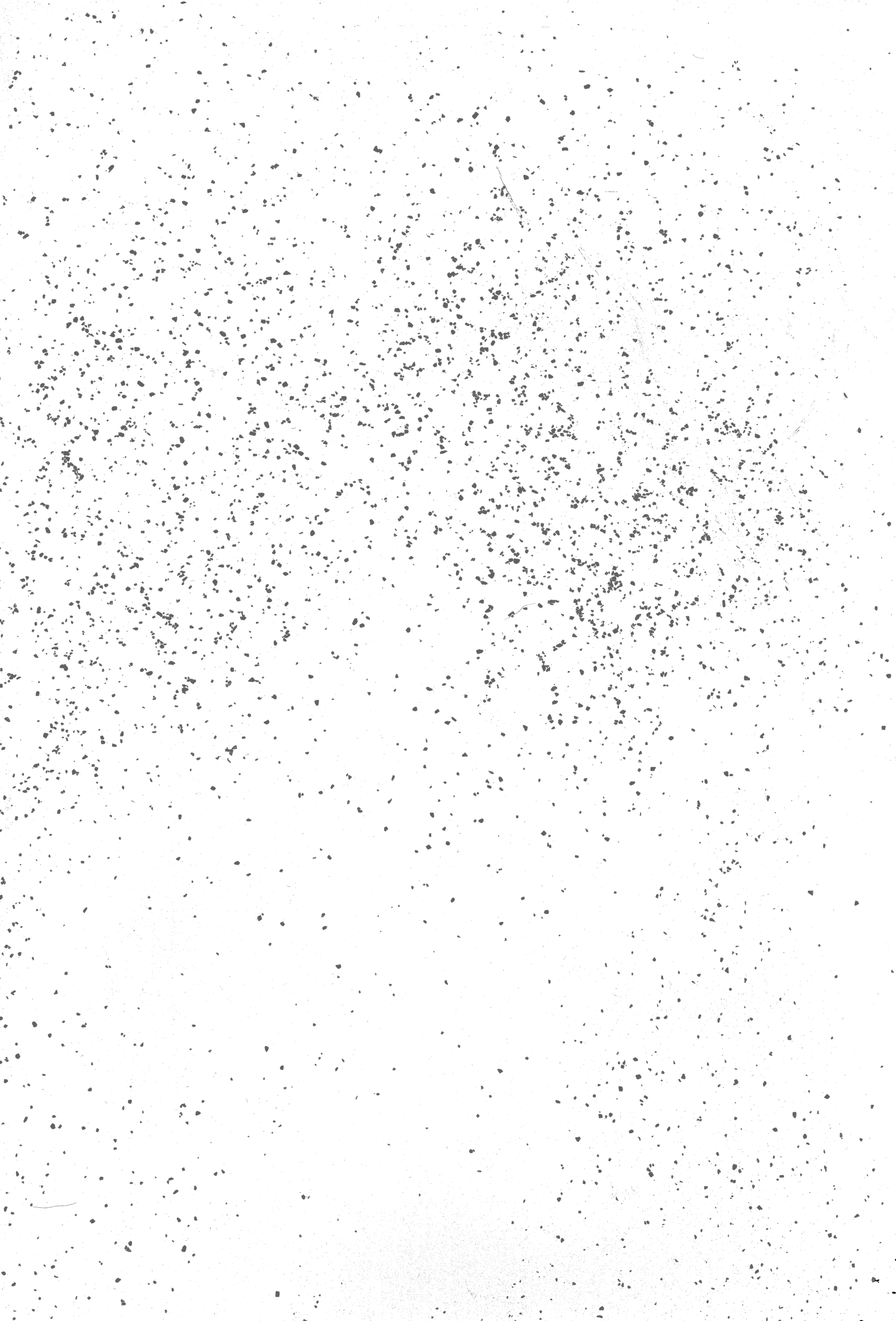 Gritbg - Bird (1800x2654), Png Download