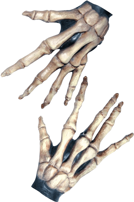 Download Skeleton Arms Png Korte Skeletten Handschoenen Voor