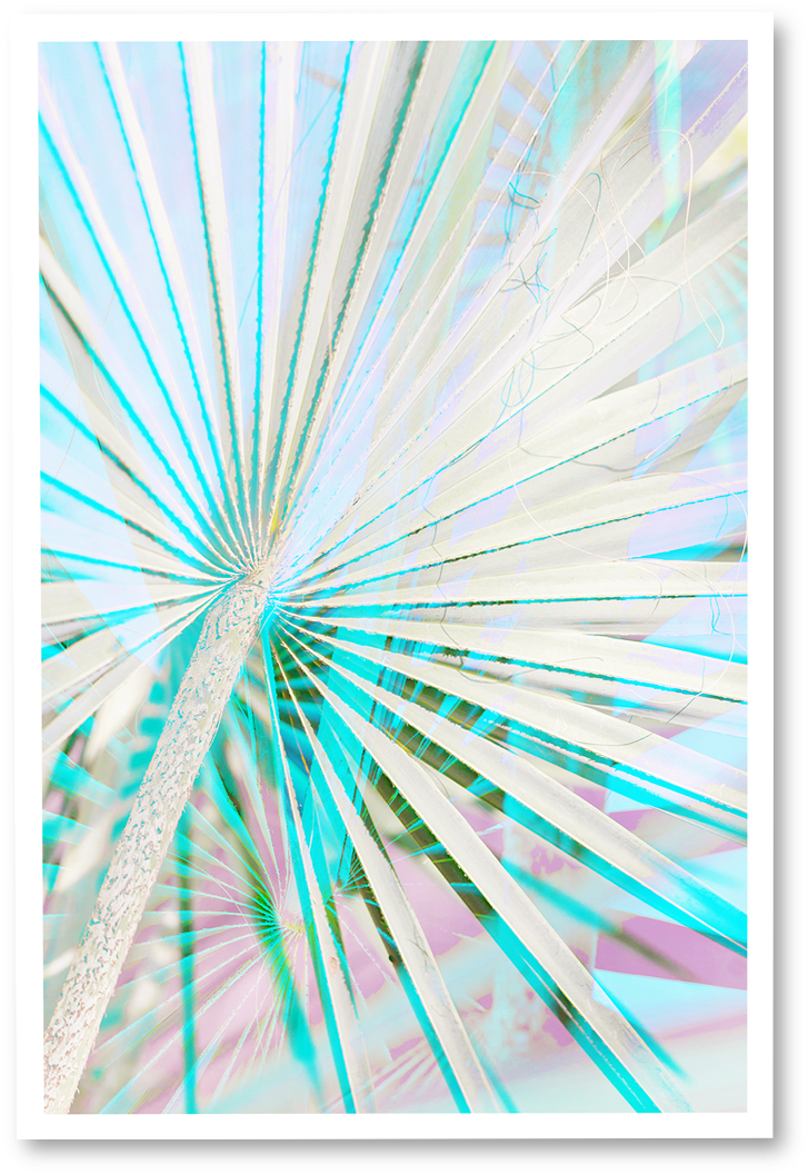 Neon Light Palms ~ N° - Visual Arts (1134x1134), Png Download