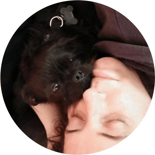 Smudge - Companion Dog (600x600), Png Download