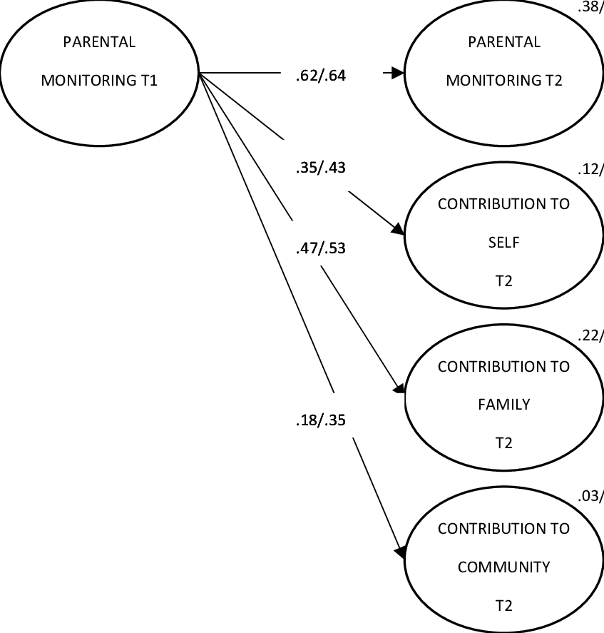 Model Tested For The Adolescents And Emerging Adults - Diagram (847x887), Png Download