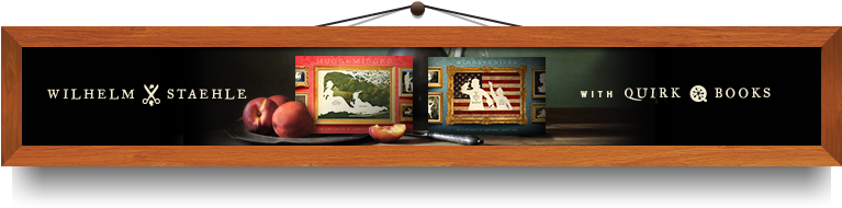 Fast, So Furious And So So Hungry, Which One Is Vin - Stars And Swipes: 30 Postcards Of Awkward Americana (766x206), Png Download