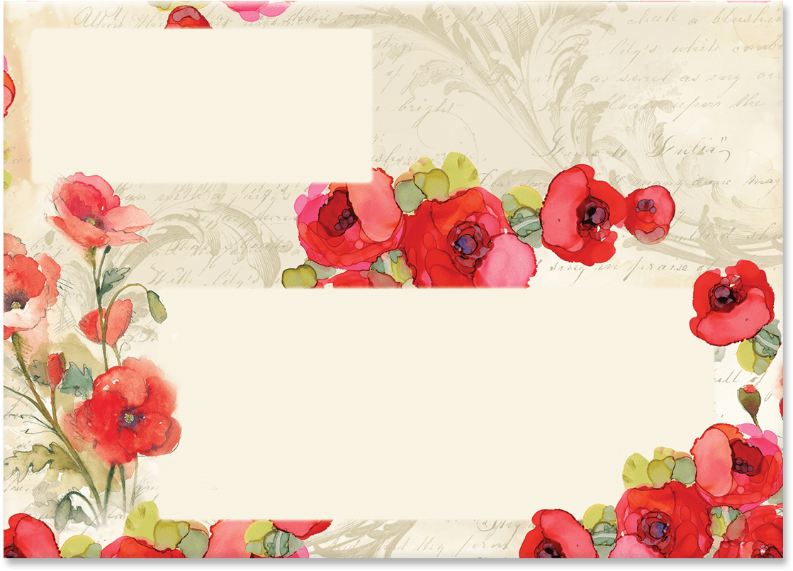 Paris Sparkle Decorative Pouch Note Cards - Poppy (1200x1200), Png Download