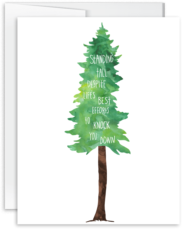 160801 Standing Tall V=1470069973 - Colorado Spruce (1000x1000), Png Download