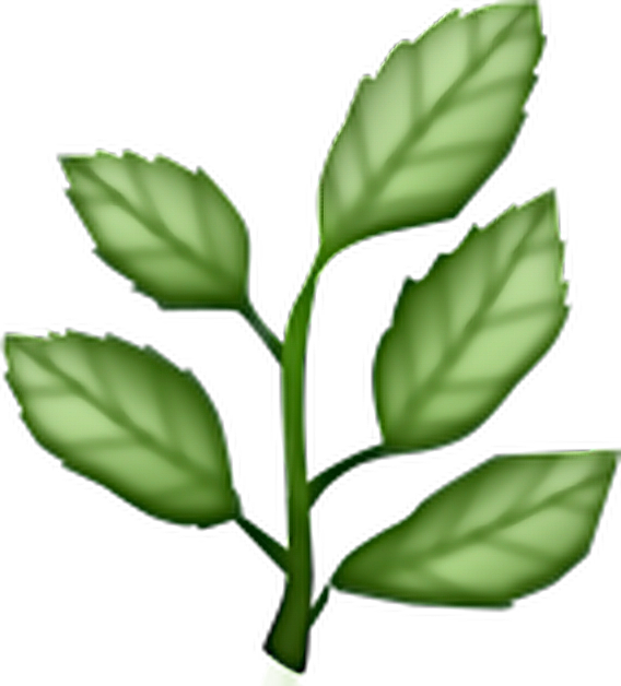 Plant Plants Green Aesthetic - Herb Emoji (568x628), Png Download