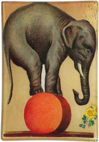 $66 John Derian Company Inc Circus Elephant - Circus Elephant (480x480), Png Download