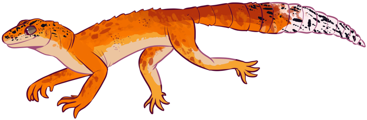 Leopard Lizard Clipart Spotted - Leopard Gecko Clip Art Transparent (1303x613), Png Download