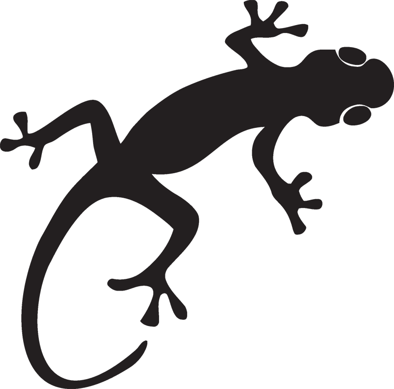 19 Gecko Svg Black And White Library Tribal Huge Freebie - Gecko Silhouette Png (800x791), Png Download
