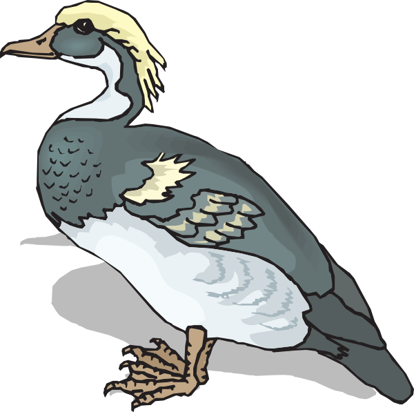 Blue And Yellow Duck Svg Clip Arts 600 X 597 Px (600x597), Png Download