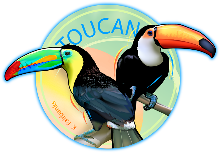 Toucan Digital Drawing By K - Toucan Drawing With Color (723x524), Png Download