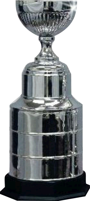 Champion Hockey Cup Trophy - Water Bottle (293x652), Png Download