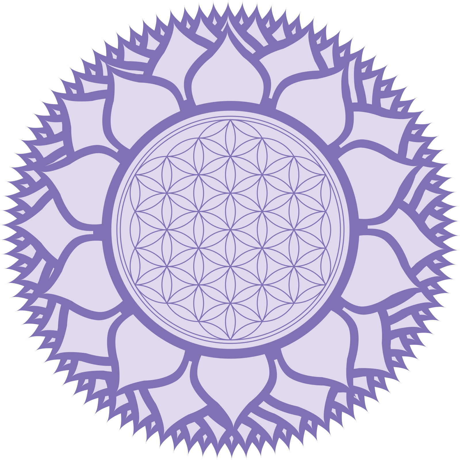 Above Crown Chakra Or Sahaswara Circle Full Size Png Download Seekpng