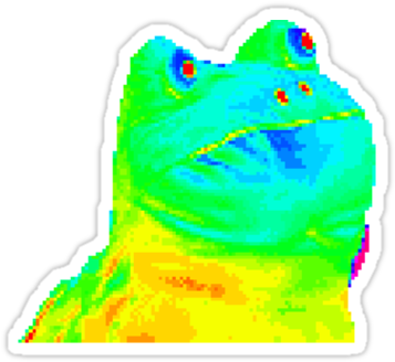 Download Rainbow Frog Facts For Kids - Rainbow Frog Meme Png ...