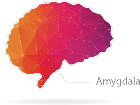 Caveman Brain - “ - Icon (566x405), Png Download