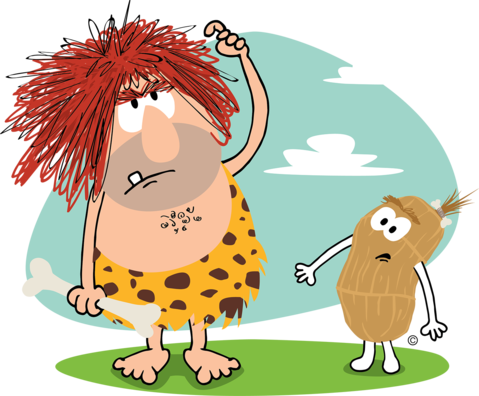 Caveman Fun Questions Tigernut Chocolate - Chocolate (479x396), Png Download