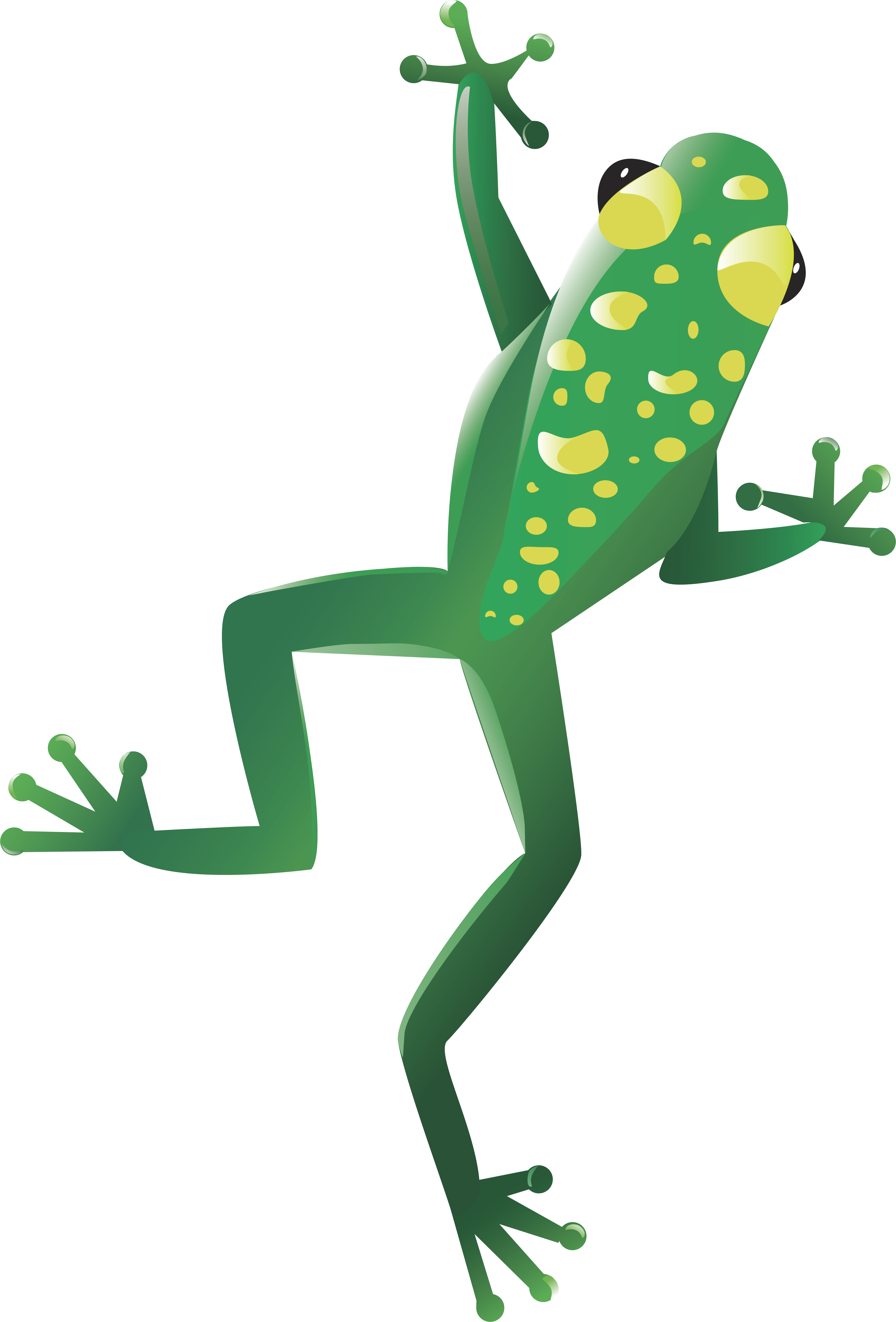 Clipart Frog Clear Background - Transparent Background Clip Art Frog (3872x5712), Png Download