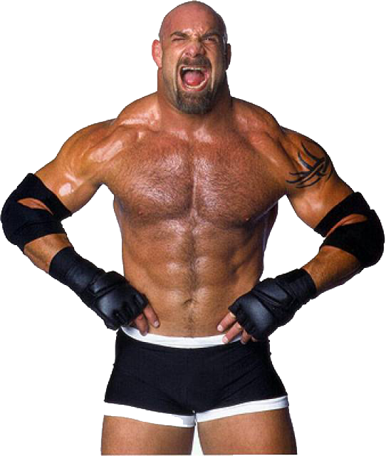 File - Goldberg - Bill Goldberg (412x480), Png Download