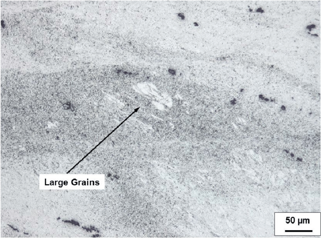 Large White Grain Clusters In A Microsection Of The - Concrete (850x498), Png Download