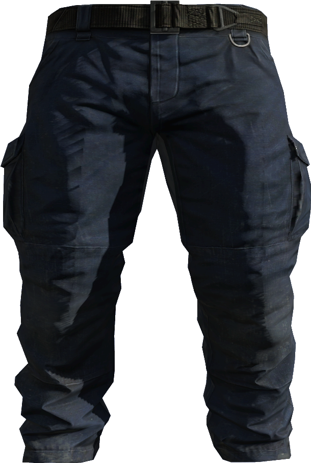 Blue Cargo Pants Model - Dickies Eisenhower Premium Trousers (1920x1080), Png Download