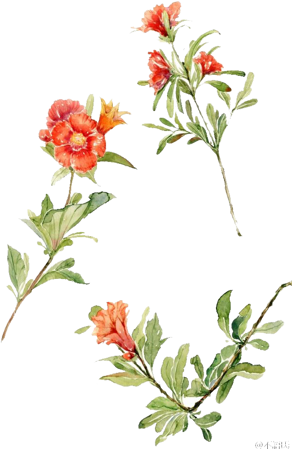 Jpg Freeuse Flowers Floral Design Watercolor Painting - Watercolor Painting (658x982), Png Download