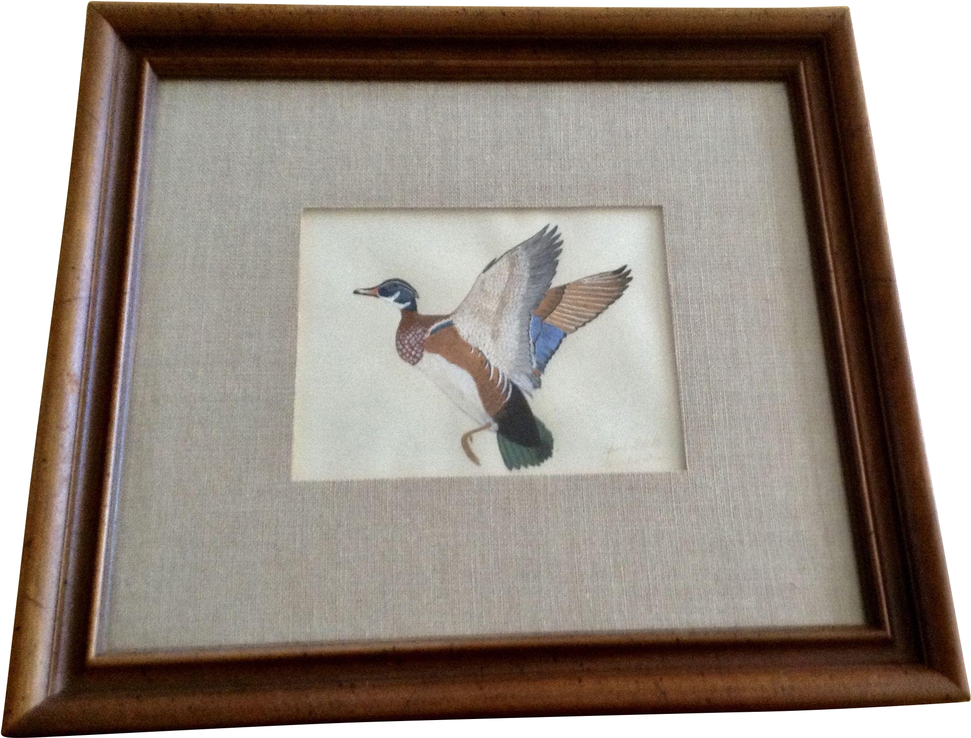 Robert W Wood, Wood Duck Oil Painting On Paper Signed - Oil Painting (1891x1891), Png Download