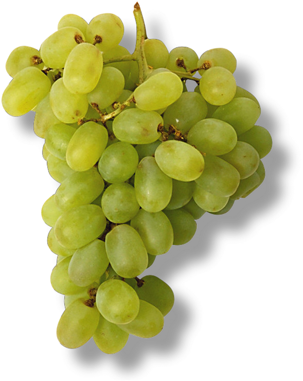 Grappe De Raisin Vert - Ege Bölgesinde Yetişen Tarım Ürünleri (1271x1600), Png Download