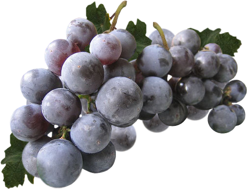 Raisin2 - Fruit (562x414), Png Download