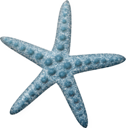Starfish Clipart Fake - Estrellas De Mar Clip Arts (490x500), Png Download