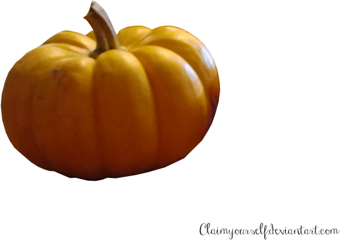 Mini Pumpkin Precut Stock Png By Tris - Pumpkin (1024x768), Png Download
