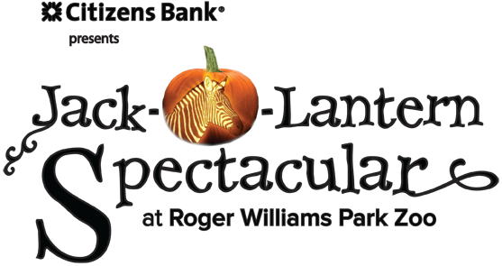 Jack O Lantern Spectacular Roger Williams Zoo 2018 (557x295), Png Download