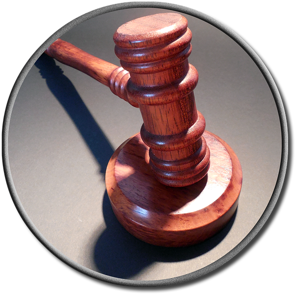 Millard Farmer, An Atlanta, Georgia Lawyer Has Been - Sentencia Tribunal Png (636x640), Png Download