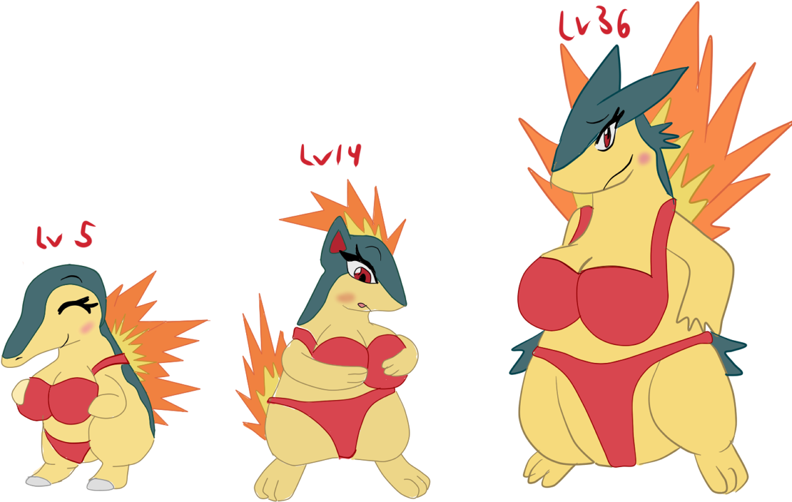 Evolution Of Cyndaquil - Cyndaquil Evolution (1266x776), Png Download