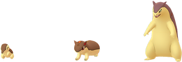 8 Replies 67 Retweets 366 Likes - Quilava (768x256), Png Download