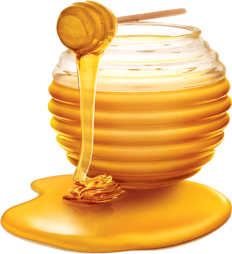 Free Png Honey Png Images Transparent - Honey Png (480x587), Png Download