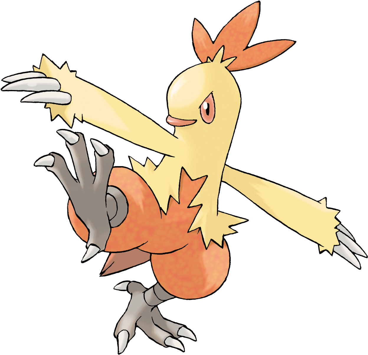 Combusken - Torchic Pokemon (1246x1246), Png Download