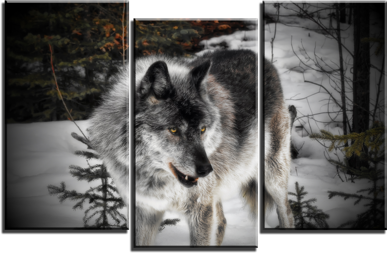 Wolf 3 Panel Canvas Print 099-01 - Joe-lynn Design (1600x1600), Png Download