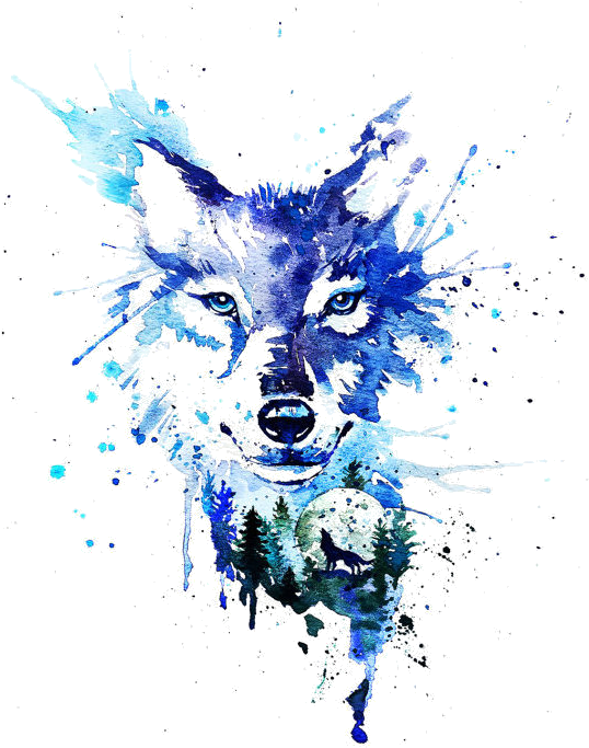 Events - Wolf Watercolour (544x690), Png Download
