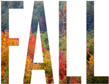 Fall - Creative Arts (504x378), Png Download