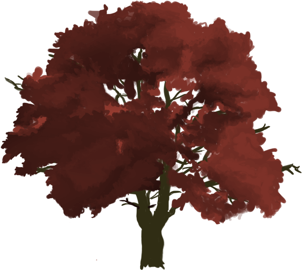 Swamp Maple (1200x1200), Png Download